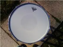 1981 ludwig black beauty