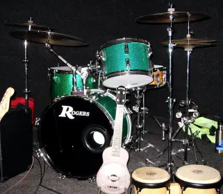 The Rogers Project