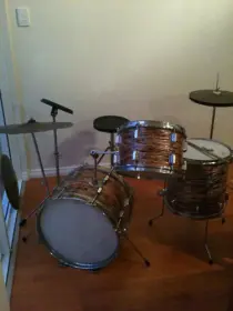 pearl tiger stripe