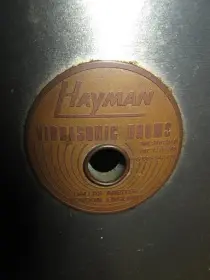just picked up this Hayman kit