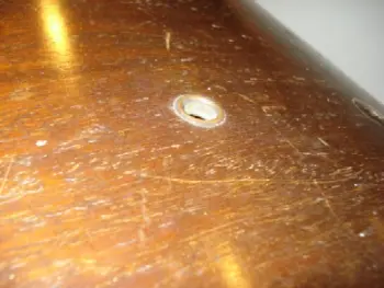Yet another &quot;What is this?&quot;
