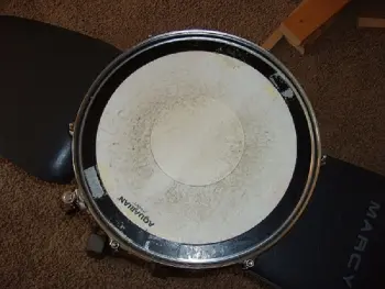 Please identify my snare drum