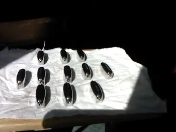 Rogers BB Lugs Large Ones (check it out)