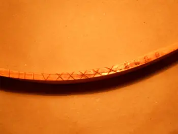 Walberg and Auge Marching Snare Project