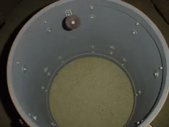 Rogers Protoype?
