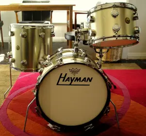 just picked up this Hayman kit