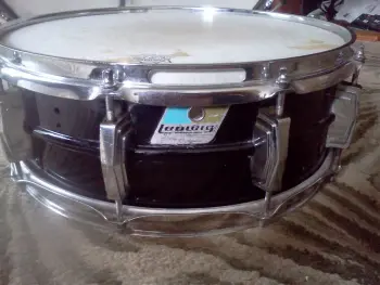 Ludwig Black Beauty????