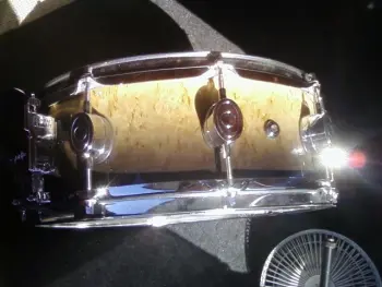 Pacific SX Maple Snare Drum