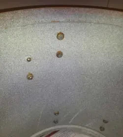 Q regarding Luddy Standard interior