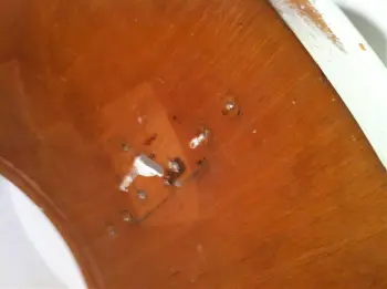 Sonor Teardrop Reconstructive Surgery-HELP!