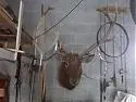 How do you all store your cymbals?