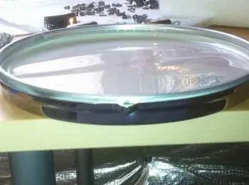 Vintage John Grey Tom Hoop is out of Round