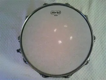 For sale or trade-brand new Black Beauty