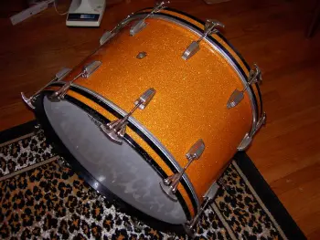 Ludwig's