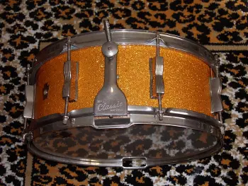Ludwig's