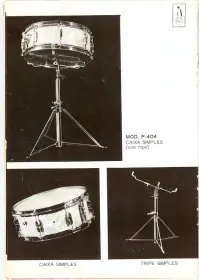 Is this a one of a kind kit?