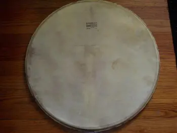 Slingerland Radio King 20&quot; Calf Skin Head w/stamped Logo