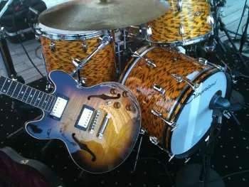 slinger land yellow tiger pearl
