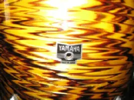 Yamaha vintage snare, yellow oyster? tiger?