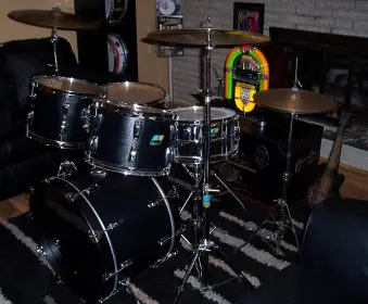 Ludwig Black Panther
