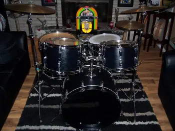 Ludwig Black Panther