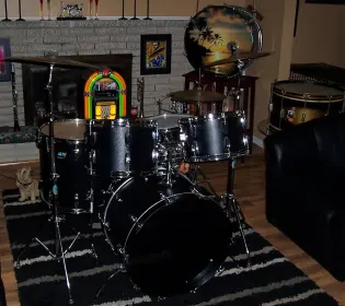 Ludwig Black Panther