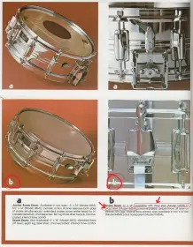 Pearl Jupiter question