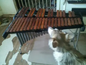 slingerland marimba