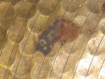 What is this, how to remove? (pics)