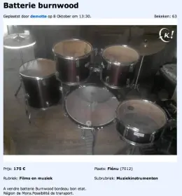 Funny:  Burnwood for sale !