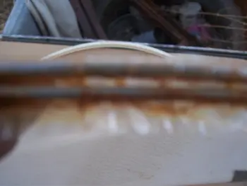 intage 60's M.I.J. drum head