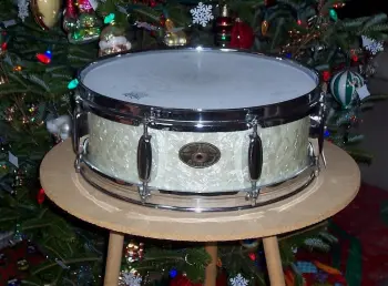 It's the &quot;show off your Rogers drums&quot; thread!