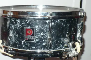 Your thoughts on a Premier 101 up for sale