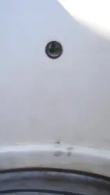 Im psyching over this Psychedelic red mistery!!!...Help!