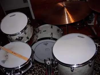 Do any of you use Evans heads on your vintage drums?