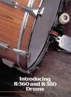 The year?  of this brochure