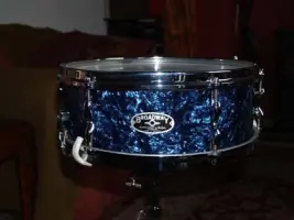 Can you help identify my snare