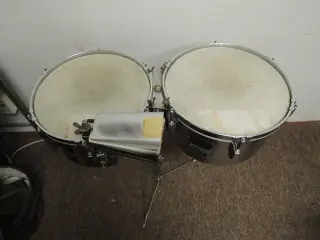 Timbales Leedy &amp; Ludwig Humberto Morales