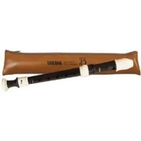 inexpensive recorder
