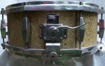 Fantastic European mystery snare.