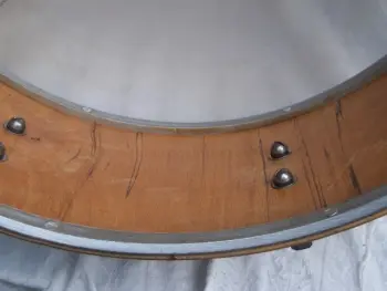 Fantastic European mystery snare.