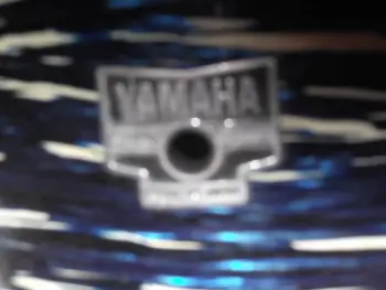 Vintage of these Yammies