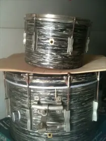 trade oyster black pearl