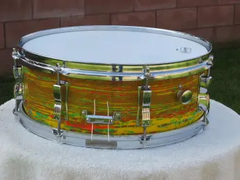 Citrus Mod Pics 1