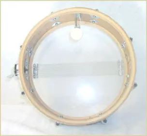 Can anyone identify this Tempo Snare?