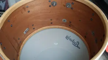 Transition badge ludwig