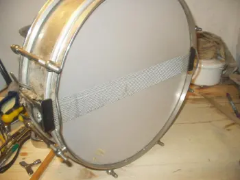 Anybody an idea what Snare this is?