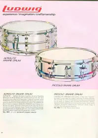 1976 Ludwig Piccolo Strainer