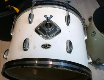 Please help me identify these Slingerlands