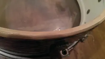 '65 Ludwig Pioneer Oyster Black Pearl Re-Wrap Trade for Slignerland